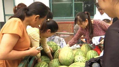 北湾村吃瓜群众,揭秘乡村生活百态