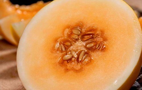 豪横吃蜜瓜,尽享夏日甜蜜时光