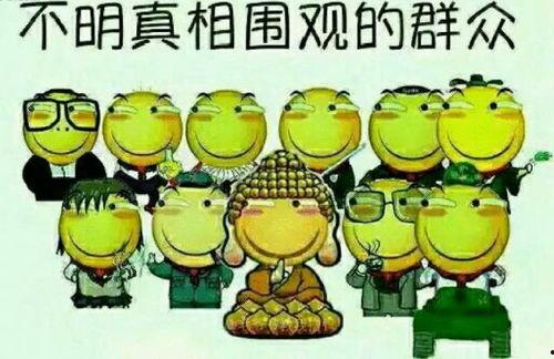 青蛙寻吃瓜群众,一场趣味横生的寻宝之旅