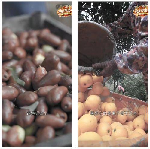 吃瓜包浆直播,揭秘网红美食背后的秘密