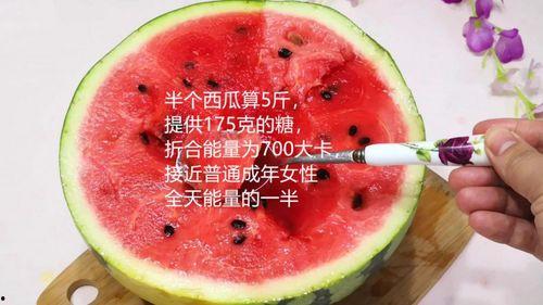 吃瓜知识大全视频,趣味横生的瓜界秘闻