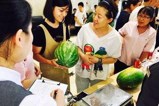 潮阳吃瓜群众网,揭秘潮阳热点事件，带你领略民间风采