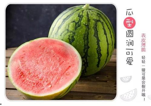 吃瓜圈吃瓜,吃瓜圈吃瓜，真相大揭秘