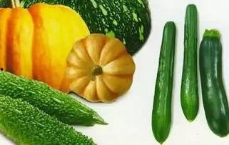 老干瓜怎么吃,解锁传统美食新体验