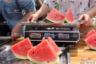 选手直播吃瓜,选手现场挑战吃瓜大赛,趣味横生!